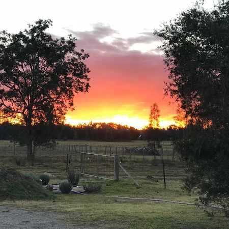 Lovedale Red Gum Cottage Экстерьер фото