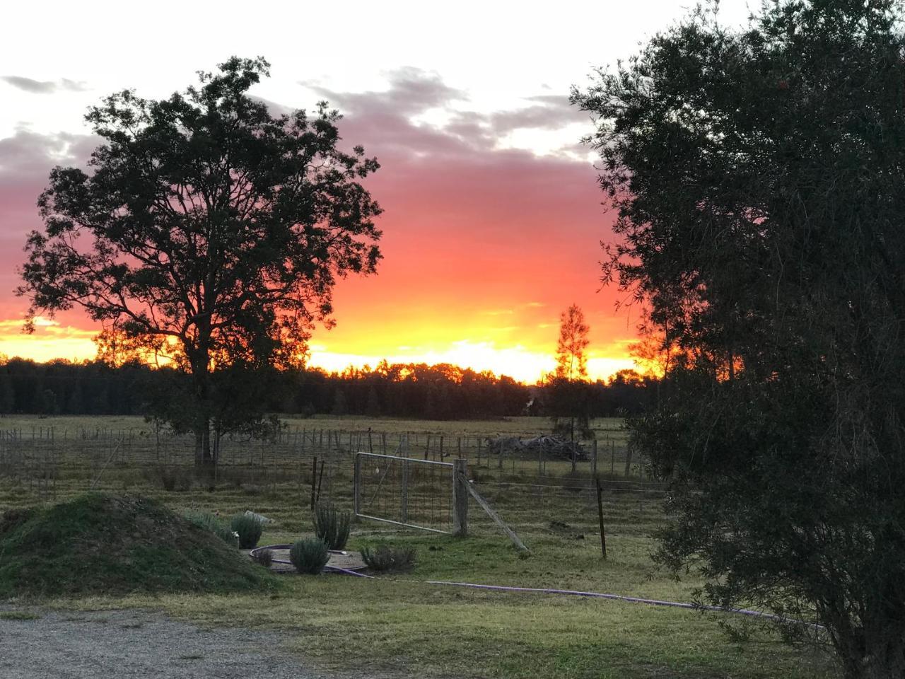 Lovedale Red Gum Cottage Экстерьер фото