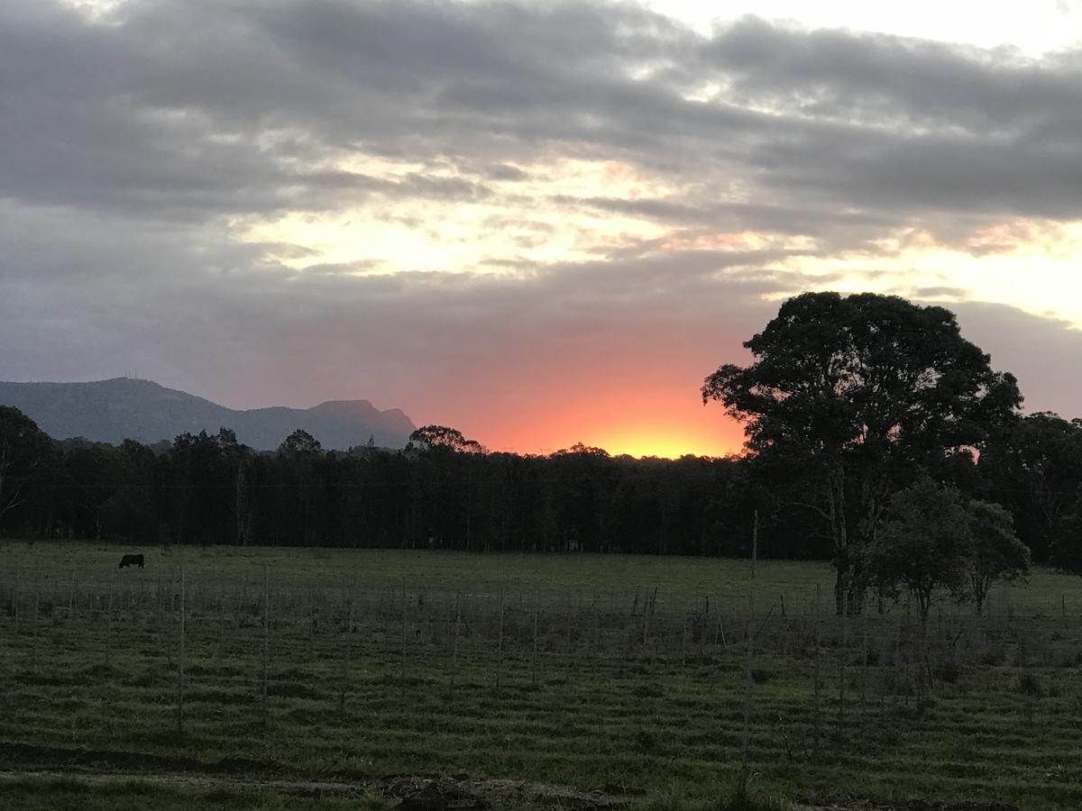 Lovedale Red Gum Cottage Экстерьер фото